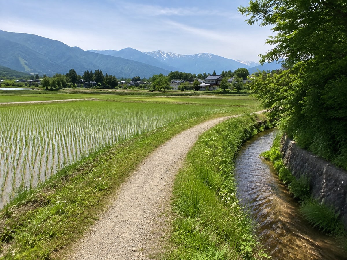 水田と小川の間を歩く安曇野の里山散歩道